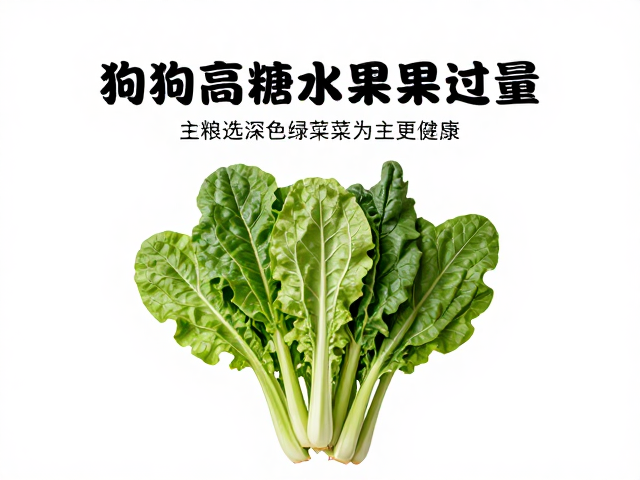 狗狗高糖水果过量？主粮选深色绿叶菜为主更健康