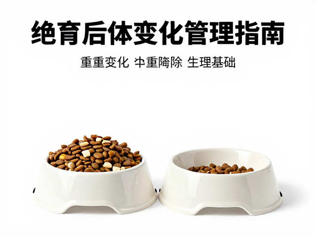绝育后体重管理,主粮选择与重型陶瓷食盆搭配指南