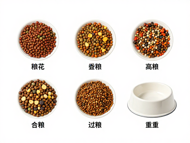绝育后体重管理,主粮选择与重型陶瓷食盆搭配指南