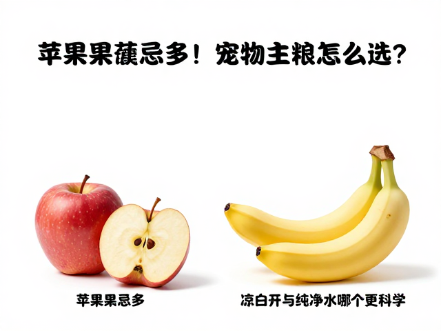 苹果香蕉忌多!宠物主粮怎么选?凉白开与纯净水哪个更科学