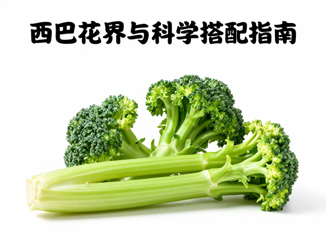 绝育后体重管理,主粮选择与西兰花芹菜的科学搭配指南