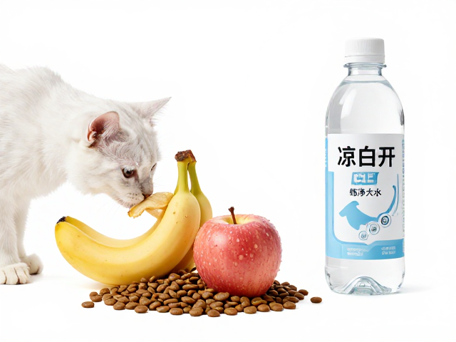 猫粮怎么选?凉白开还是纯净水?苹果香蕉喂多伤狗