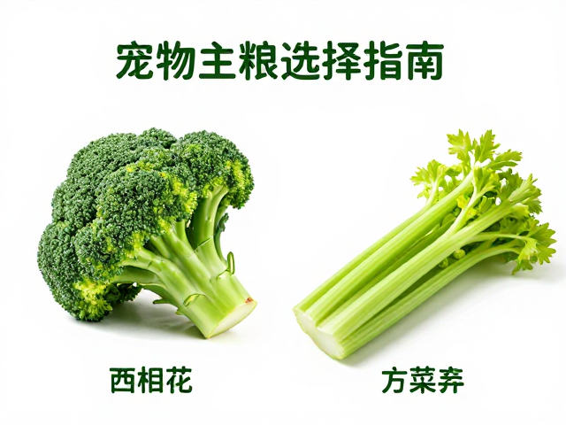 宠物吃西兰花芹菜好吗？避开人类加工食品，科学主粮选择指南