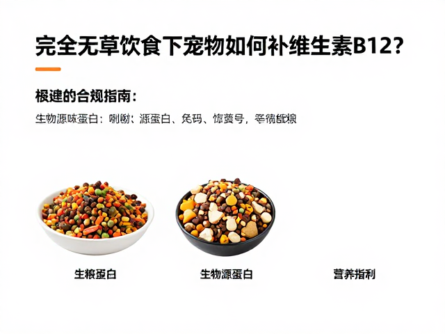 完全无草饮食下宠物如何补充维生素B12?主粮选择与营养指南