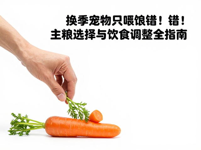 换季宠物只喂胡萝卜？错！主粮选择与饮食调整全指南