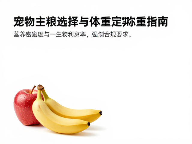 苹果香蕉忌多！宠物主粮选择与体重定期称重指南