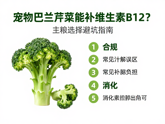 宠物吃西兰花芹菜能补维生素B12?主粮选择避坑指南