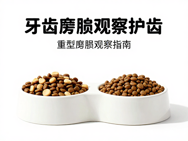 猫粮怎么选?重型陶瓷食盆护齿,牙齿磨损观察指南