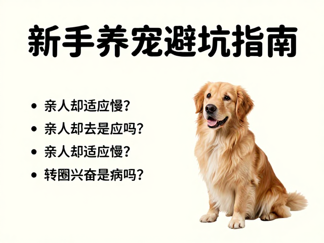 亲人却适应慢？转圈兴奋是病吗？新手养宠避坑指南