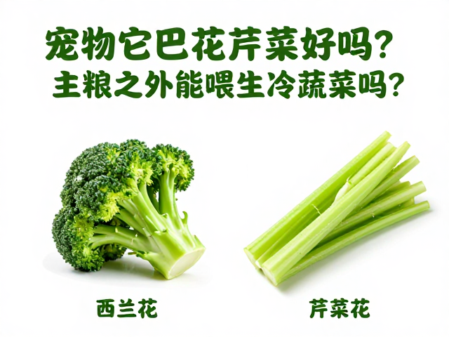 宠物吃西兰花芹菜好吗?主粮之外能喂生冷蔬菜吗?