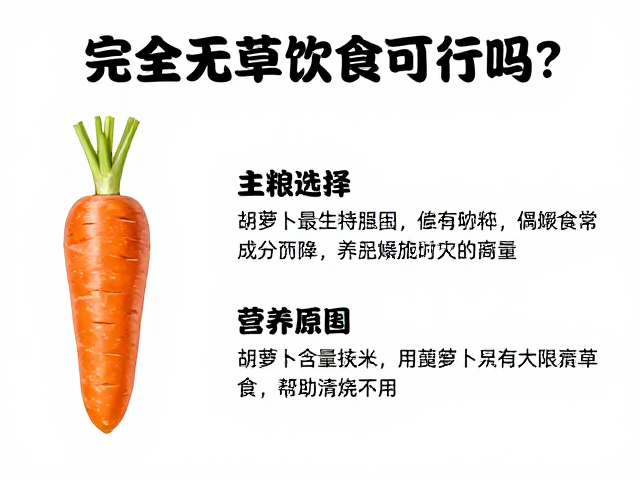 完全无草饮食可行吗?主粮选择与胡萝卜限量食用指南
