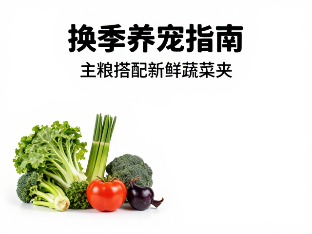 换季养宠指南,主粮搭配新鲜蔬菜夹,科学调整饮食防过敏
