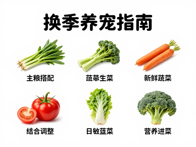 换季养宠指南，主粮搭配新鲜蔬菜夹，科学调整饮食防过敏