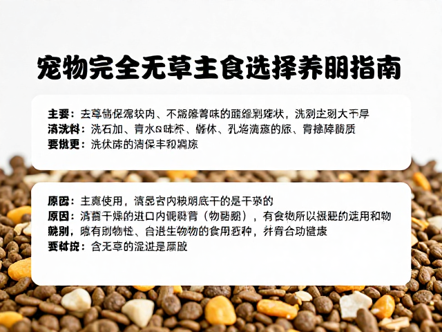 宠物完全无草饮食,主粮选择与清洗后彻底晾干的关键指南