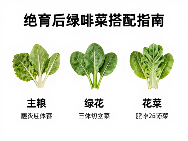 绝育后体重管理,主粮选择与深色绿叶菜搭配指南