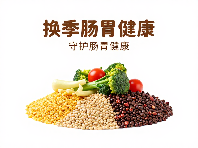 换季饮食调整，主粮搭配新鲜蔬菜夹，守护肠胃健康