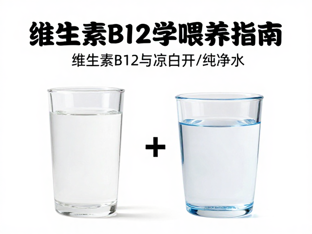 猫粮怎么选？补充维生素B12与凉白开/纯净水的科学喂养指南
