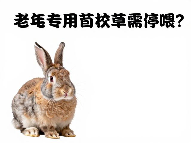 老年兔低钙饮食指南,为何幼兔专用苜蓿草需停喂?