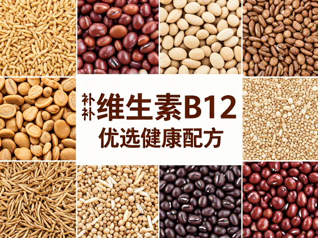 无谷物主粮怎么选?补充维生素B12,优选健康配方