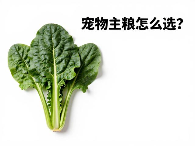 宠物主粮怎么选?搭配深色绿叶菜与维生素B12,科学喂养指南