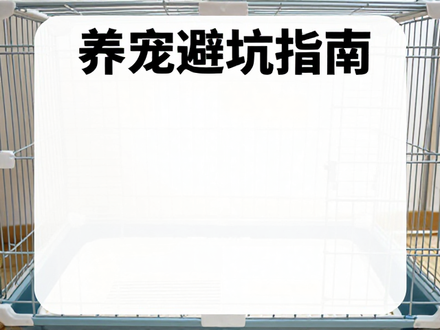 养宠避坑指南,笼子选型、远离噪音与避光的关键技巧