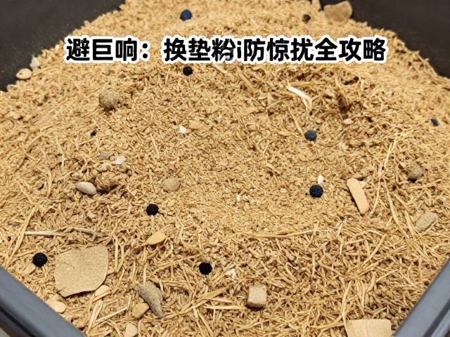 笼养避巨响，选笼、换垫料与防惊扰全攻略
