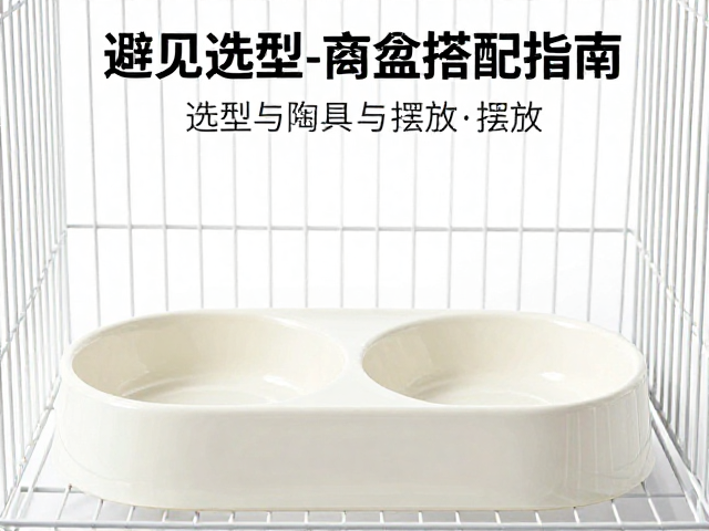 避免阳光直射!笼子选型与陶瓷食盆搭配指南