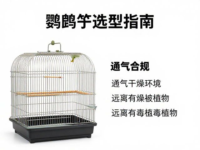 鹦鹉笼子选型指南,通风干燥环境与远离有毒植物要点