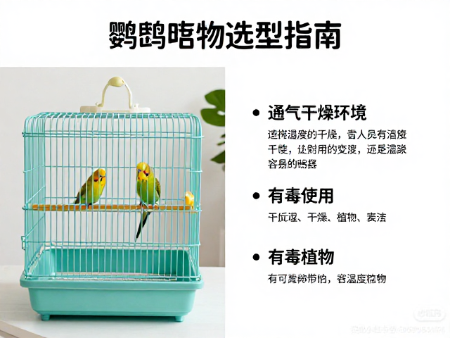 鹦鹉笼子选型指南,通风干燥环境与远离有毒植物要点