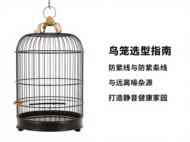 鸟笼选型指南,防紫外线与远离嘈杂源,打造静音健康家园