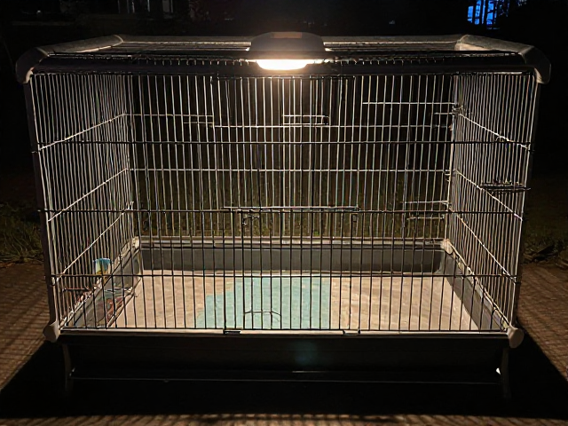 夜间安静环境如何选笼子?利用嗅觉探索物品打造宠物安全空间