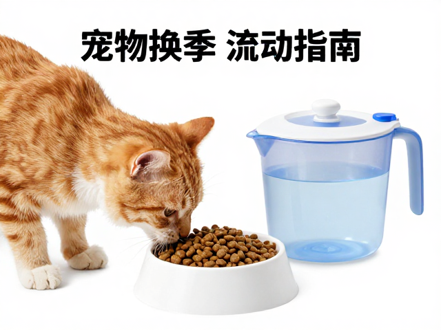 宠物换季饮食调整,主粮选择与滚动水壶喂食指南