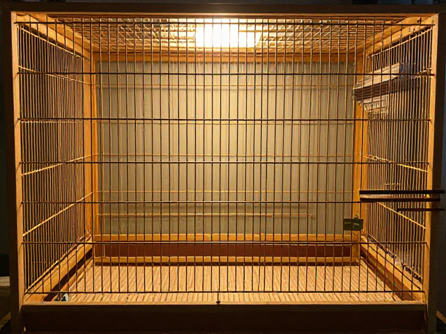 鸽子笼选型指南，如何打造通风干燥环境并保持昼夜节律