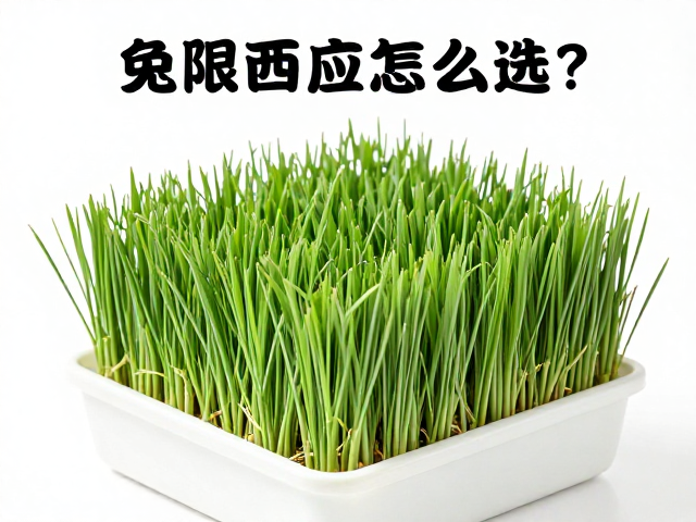 兔粮怎么选?无限供应提摩西草,新鲜蔬菜夹,打造科学喂养法