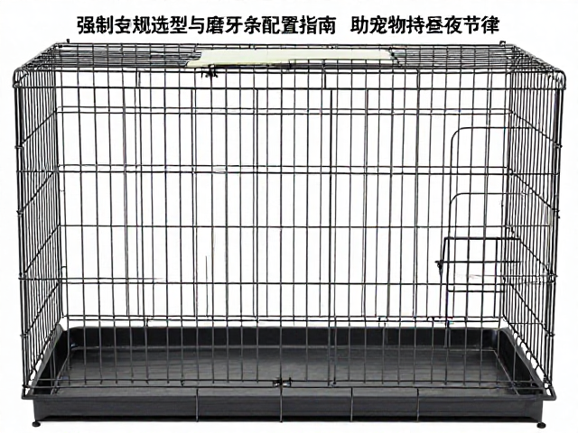 笼具选型与磨牙玩具配置指南,助宠物维持昼夜节律