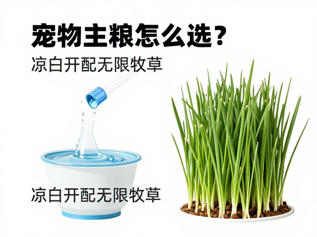 宠物主粮怎么选？凉白开配无限牧草，科学喂养指南