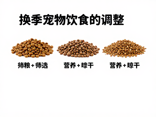 换季宠物饮食调整,主粮选择与清洗后彻底晾干的关键指南
