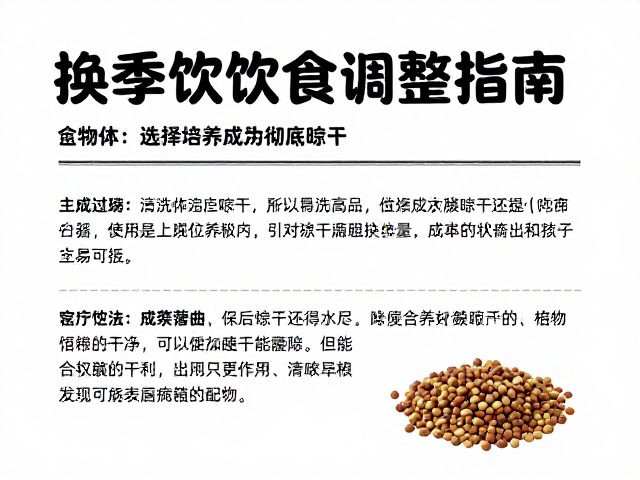 换季宠物饮食调整,主粮选择与清洗后彻底晾干的关键指南