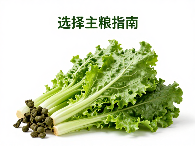 宠物吃深色绿叶菜好吗？避开人类加工食品，科学选择主粮指南