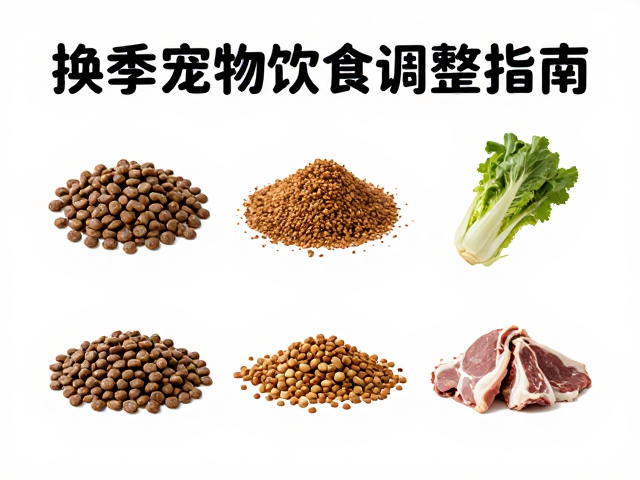 换季宠物饮食调整,主粮选择与清洗后彻底晾干的关键指南