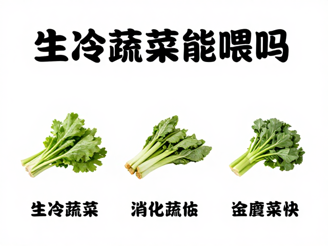猫粮怎么选?生冷蔬菜能喂吗?新鲜蔬菜夹喂法全解析