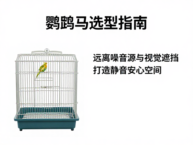 鹦鹉笼选型指南,远离噪音源与视觉遮挡,打造静音安心空间