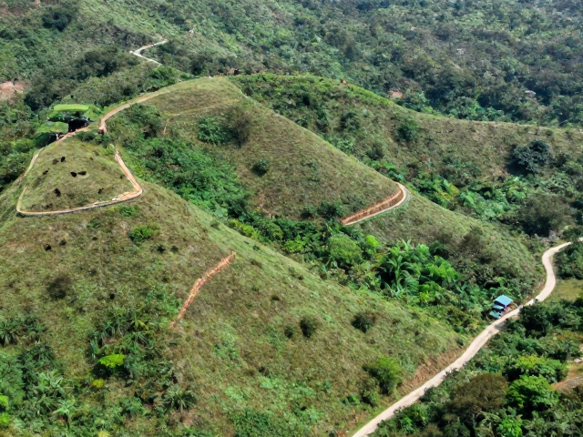 熊猴人工繁育基地选址,为何偏好山地丘陵地形?
