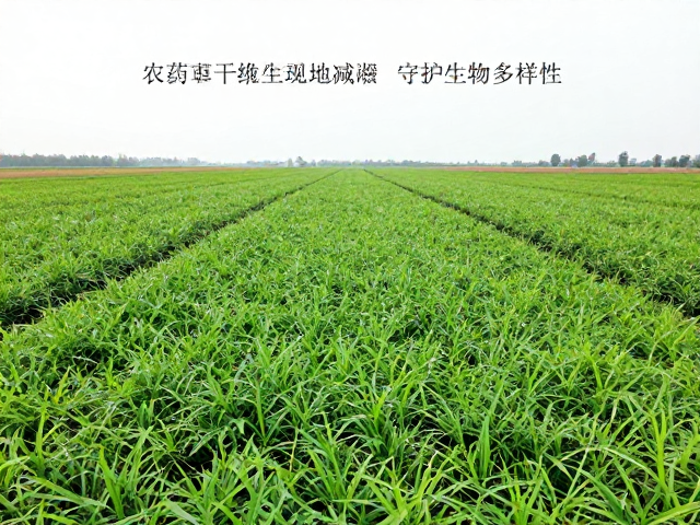 农药化肥与植被改变致栖息地缩减，守护生物多样性