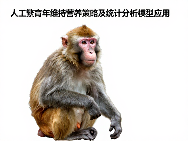 人工繁育老年猴维持营养策略及统计分析模型应用
