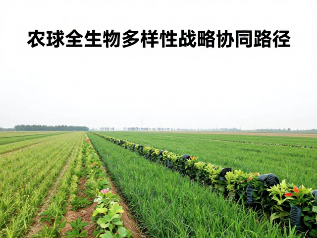 自然保护区建设，农业农药控制与全球生物多样性战略协同路径