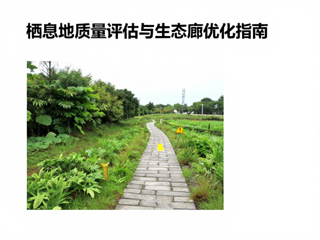 自然保护区建设，栖息地质量评估与生态廊道优化指南