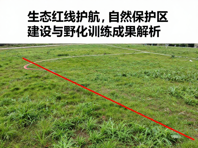 生态红线护航，自然保护区建设与野化训练成果解析