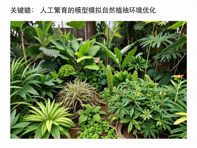 人工繁育技术,基于统计分析模型模拟自然植被环境优化
