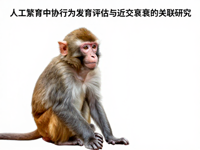 人工繁育中幼猴行为发育评估与近交衰退的关联研究